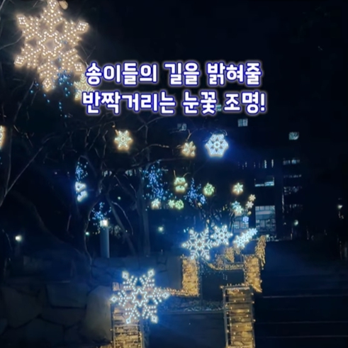 숙명의 겨울을 밝혀줄 눈꽃 조명 점등식 현장🎇