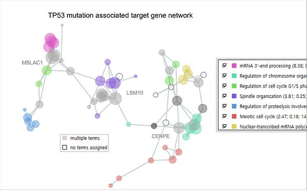 Sookmyung Women's University team develops gene data modeling tool